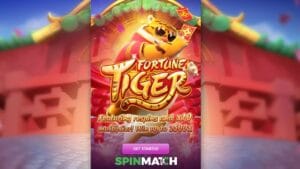 The best slot games to play on Spinmatch