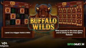 Spinmatch slot game